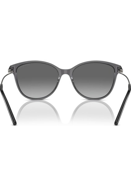 EA4220 610611 54 Unisex Güneş Gözlüğü modelleri