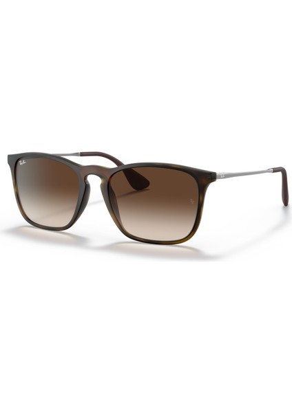 RB 4187 856/13 54 Chris Unisex Güneş Gözlüğü
