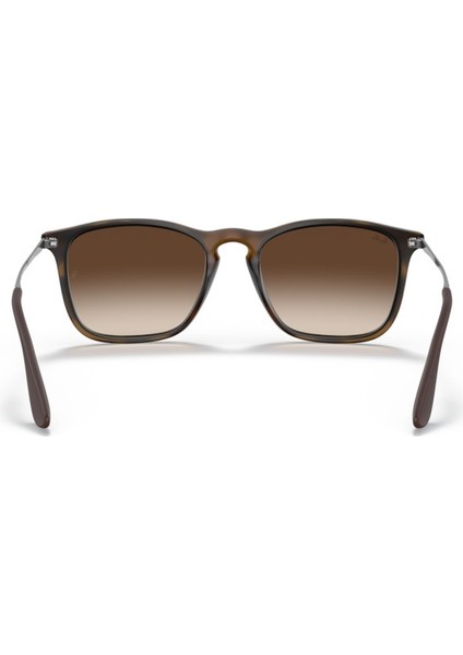RB 4187 856/13 54 Chris Unisex Güneş Gözlüğü modelleri