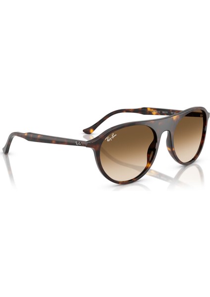 Rb 2215 902/51 56 Ray-Ban Unisex Güneş Gözlüğü fiyatları