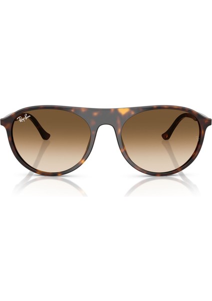 Rb 2215 902/51 56 Ray-Ban Unisex Güneş Gözlüğü modelleri