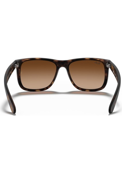 RB 4165 710/13 55 Unisex Güneş Gözlüğü modelleri