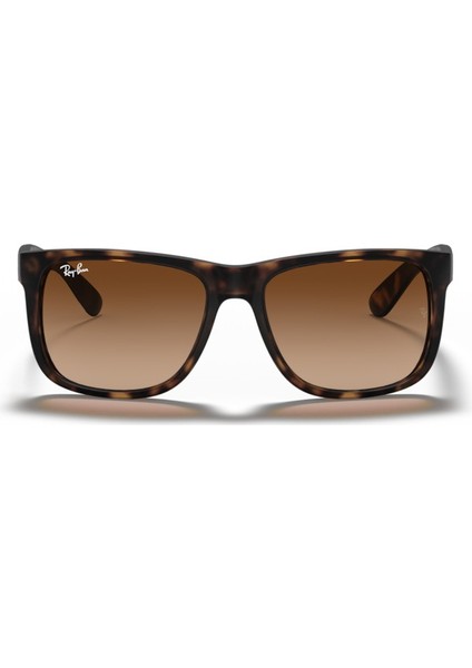 RB 4165 710/13 55 Unisex Güneş Gözlüğü indirimleri