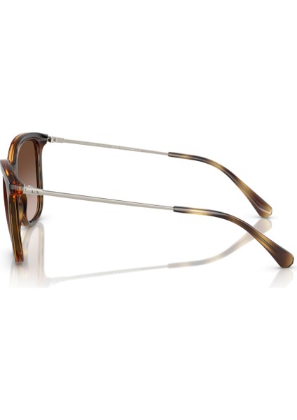Ax 4151S 821313 55 Armani Exchange Kadın Güneş Gözlüğü fiyatları