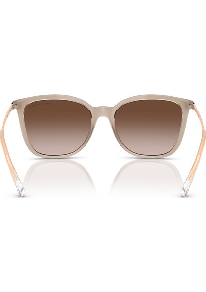 Ax 4151S 836613 55 Armani Exchange Kadın Güneş Gözlüğü fırsatları