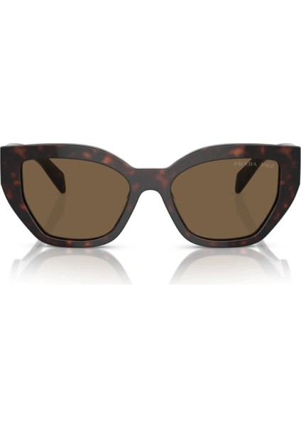 Kadın Güneş Gözlüğü fiyatları