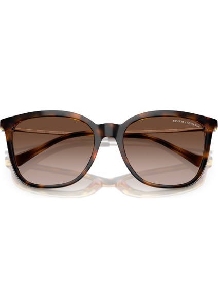Ax 4151S 821313 55 Armani Exchange Kadın Güneş Gözlüğü indirimleri