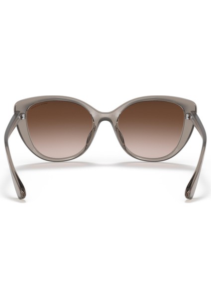 Ax-S 4111SU 824013 54 Kadın Güneş Gözlüğü indirimleri