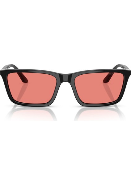 Dikdörtgen Güneş Gözlük Bayan Gözlük 0EA4239U 501784 55 fiyatları