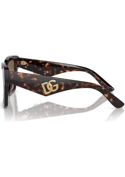 4436 502/73 55 Kadın Güneş Gözlüğü modelleri