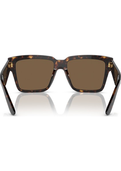 4436 502/73 55 Kadın Güneş Gözlüğü fırsatları