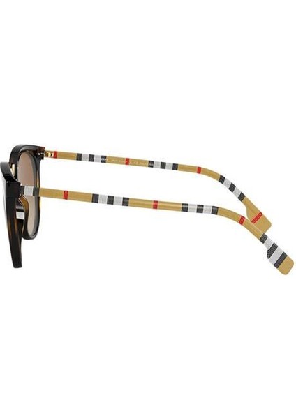 BE-S 4316 3854T5 54 Kadın Güneş Gözlüğü indirimleri