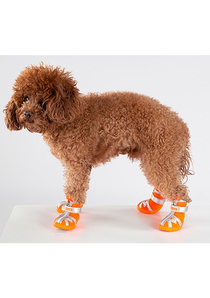 Fermuarlı, Turuncu Köpek Ayakkabısı modelleri