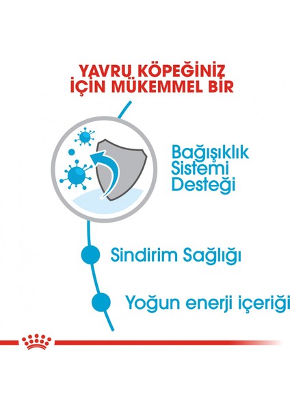 Küçük Irklar için Yavru Kuru Köpek Maması 2kg fırsatları