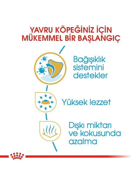 Chihuahua Yavru Köpek Maması 1.5kg fırsatları