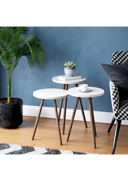Renkli Üçlü Zigon Sehpa Ahşap Ayaklı Yuvarlak Pastel Tasarım Beyaz Byzahşp