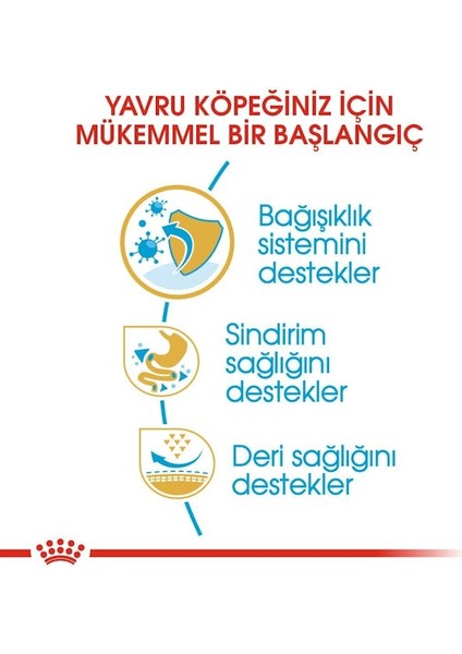 Fransız Bulldog Yavru Köpek Maması 3kg fırsatları