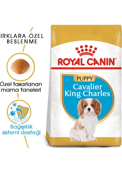 Cavalier King Charles Yavru Köpek Maması 1.5kg