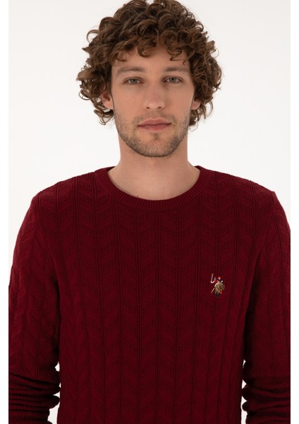 Erkek Bordo Kazak /triko 50307836-VR014 fiyatları