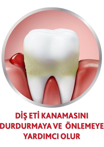 Diş Macunu 75 ml Nane Aromalı Orijinal Formül 4 Kat Etkili Diş Eti Bakım ve Koruma fırsatları