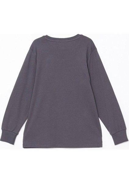 Lcw Kids Gri Bisiklet Yaka Erkek Çocuk Pijama Takımı fırsatları