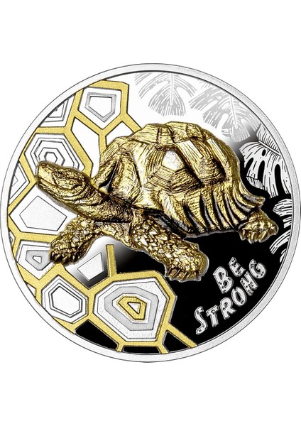 Rimagold Rimagold Güçlü Ol Gümüş Sikke Coin