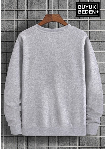 Erkek Büyük Beden Bisiklet Yaka Ince Sweatshirt SPR24BSW56 fiyatları