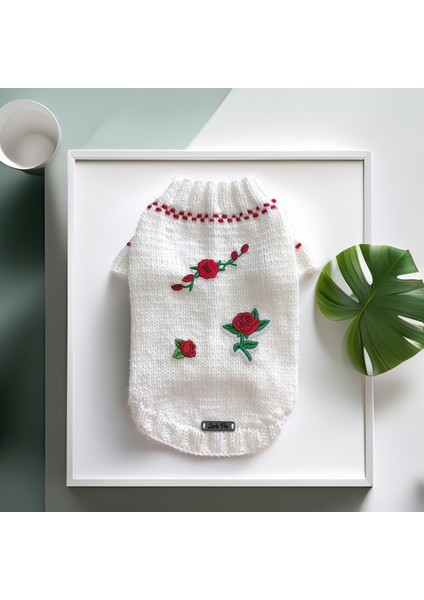 Köpek Için Güllü Beyaz Kazak