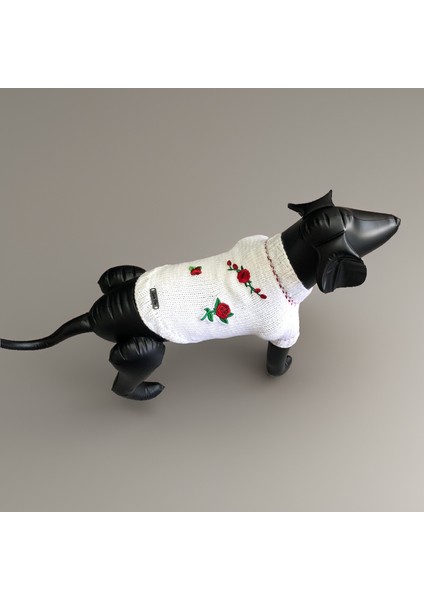 Köpek Için Güllü Beyaz Kazak modelleri