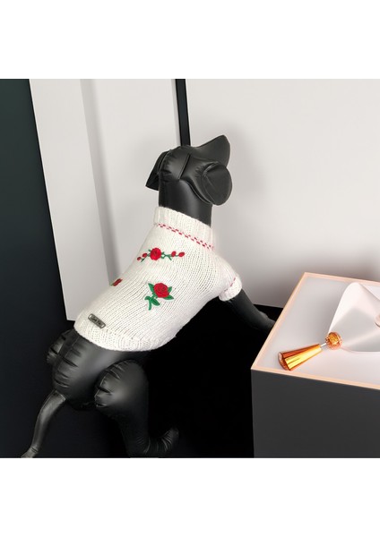 Köpek Için Güllü Beyaz Kazak indirimleri