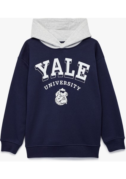 Lisanslı Kapşonlu Uzun Kollu Şardonlu Baskılı Sweatshirt