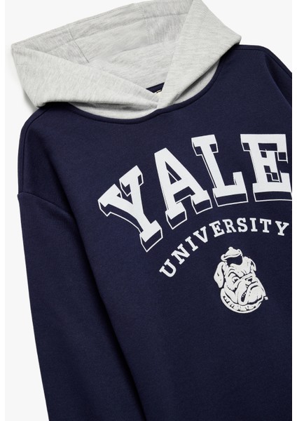 Lisanslı Kapşonlu Uzun Kollu Şardonlu Baskılı Sweatshirt modelleri