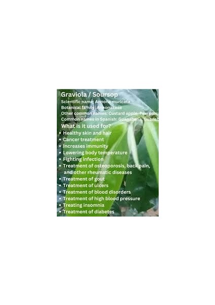 Graviola Elma Tarçını Premium Quality Annona Muricata Active Whole Spectrum Extract Anti Cancer indirimleri