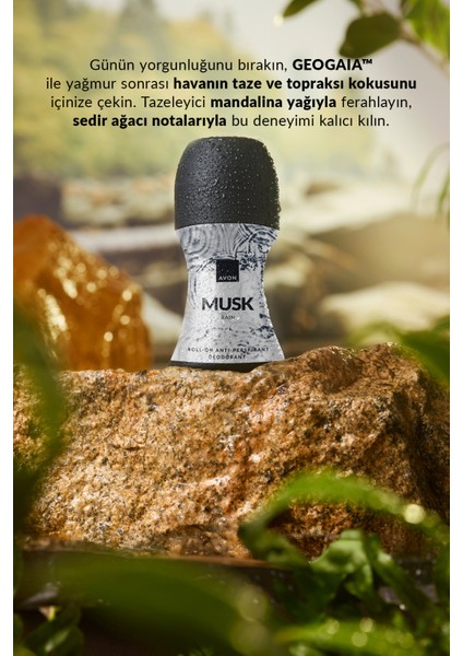 Musk Rain Erkek Roll-On 50 Ml. modelleri