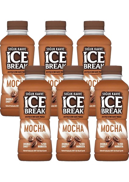 Ice Break Mocha 375 ml 6'Lı