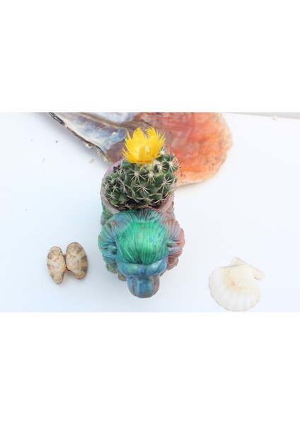 : El Yapımı Epoksi Reçine Şık Tasarım Saksı/dekoratif Objeler (Çiçeksiz) - Kadın Emeği modelleri