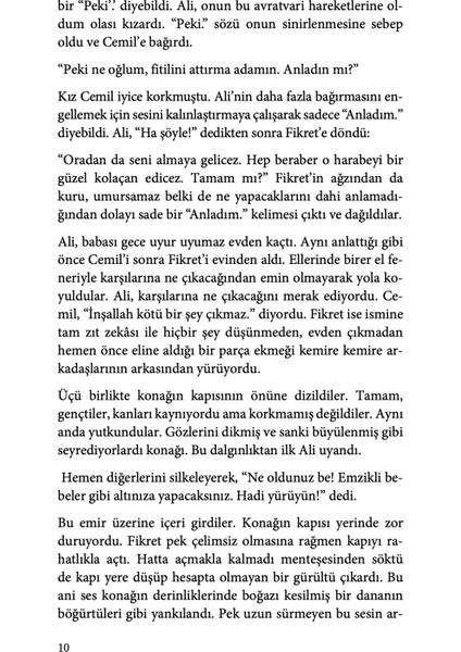 Peri Palas - Ömer Faruk Yazıcı