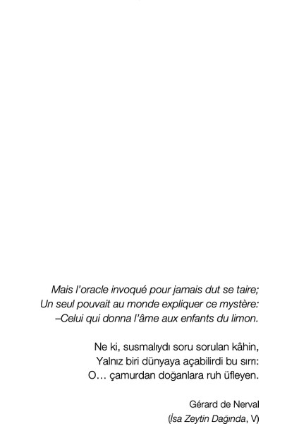 Çamurdan Doğanlar - Octavio Paz fırsatları