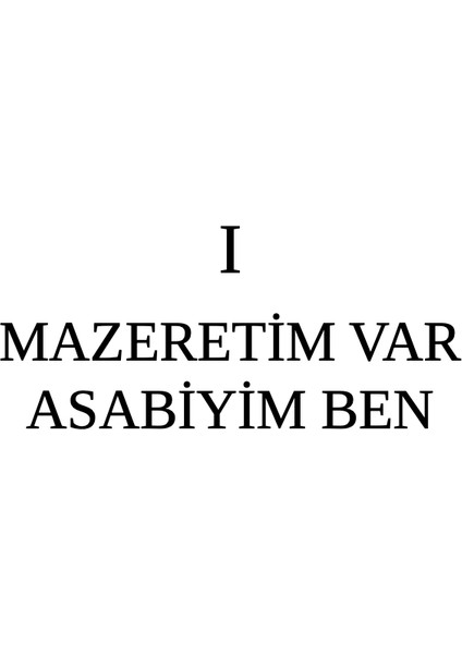 Azizler ve Haydutlar - Selman Bayer fiyatları