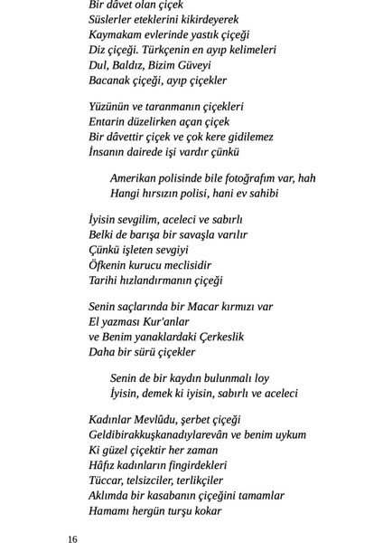 İmkansızın İhlali - Furkan Çalışkan