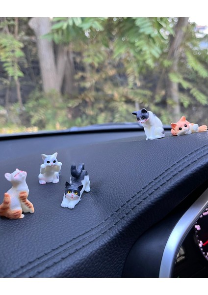 Sevimli Kediler Araba Içi Torpido Üstü Biblo Aksesuar Torpido Süsü 5 Adet Sevgiliye Hediye
