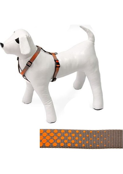 Art Sp.Plus Ayarlı Göğüs Tasma 45-70cm-20mm