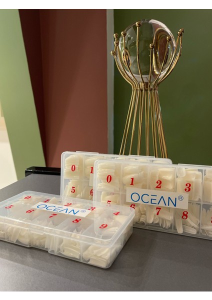 500 Lü Yarım Ay Kemik Renk Tips - Özel Kutulu modelleri