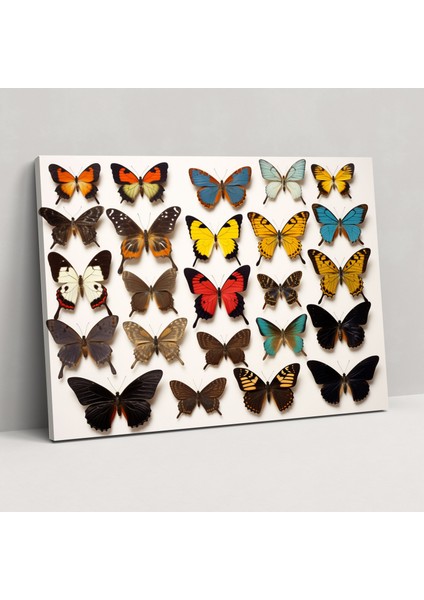Kurutulmuş Kelebekler Foto Gerçekçi Kanvas Tablo - Detaylı Desenlerle Zenginleştirilmiş Doğadan Esinlenen Canlı Renkler