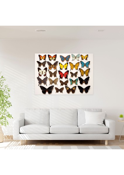 Kurutulmuş Kelebekler Foto Gerçekçi Kanvas Tablo - Detaylı Desenlerle Zenginleştirilmiş Doğadan Esinlenen Canlı Renkler fiyatları