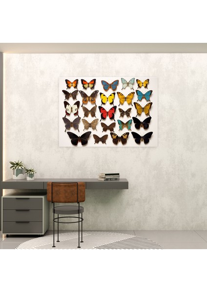 Kurutulmuş Kelebekler Foto Gerçekçi Kanvas Tablo - Detaylı Desenlerle Zenginleştirilmiş Doğadan Esinlenen Canlı Renkler modelleri