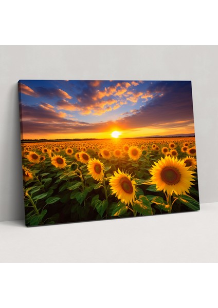 Ayçiçeği Tarlaları Kanvas Tablo - Dünya Ev Dekorasyonu Duvar Sanatı Altın Işık