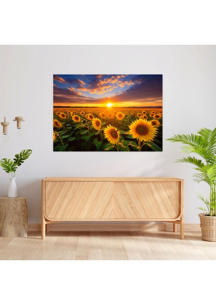 Ayçiçeği Tarlaları Kanvas Tablo - Dünya Ev Dekorasyonu Duvar Sanatı Altın Işık fiyatları