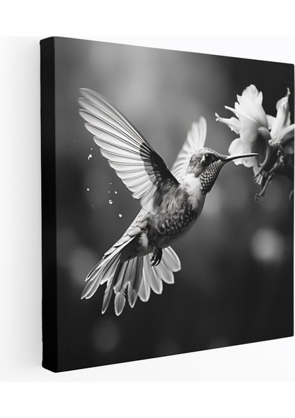 Siyah Beyaz Güvercin Duvar Sanatı - Güvercin Kanvas Tablo Duvar Dekorasyonu Ev Dekorasyonu