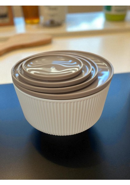 4’lü Saklama Kabı Seti – Kapaklı, Sızdırmaz, Bulaşık Makinesinde Yıkanabilir fırsatları